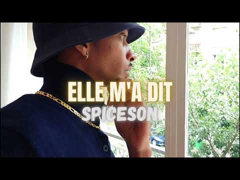 Spiceson - Elle M'a Dit ( Reggae )