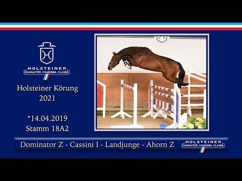 Holsteiner Körlot 2021 | Nr. 38 v. Dominator Z - Cassini I - Landjunge - Ahorn Z