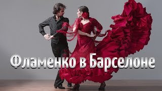 Где в Барселоне посмотреть фламенко