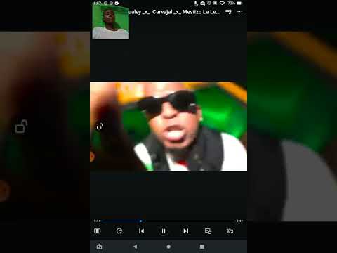 Germán Gualey Carvajal mestizo la leche faraón yonas flow los colores videoreación @Paolareaciona