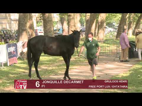 Sprinter Sacré Show 2021 : Lot 6 - Jonquille Decarmet