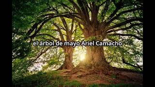 Árbol de Mayo - Ariel Camacho y Los Plebes del Rancho