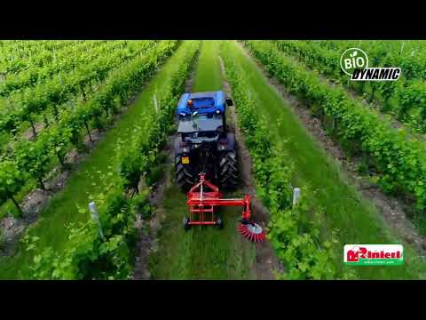 Rinieri Biodynamic Highlight