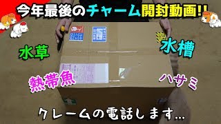 まさかの不良品...また水槽立ち上げますチャーム開封動画です！