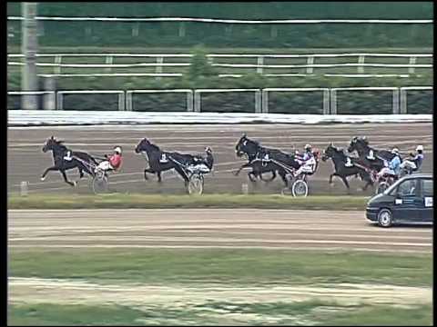 Trotto 21/05/2015 - 5° corsa