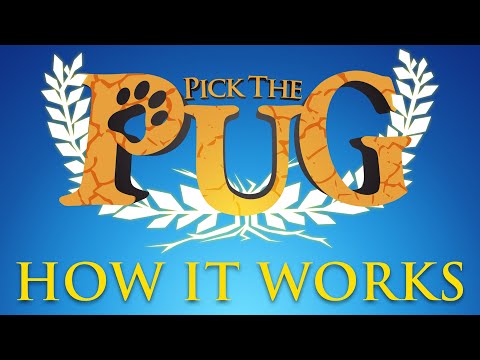 Pick The Pug | Card Game | How it Works