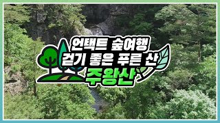 [#언택트숲여행] 걷기 좋은 푸른 산,  #주왕산
