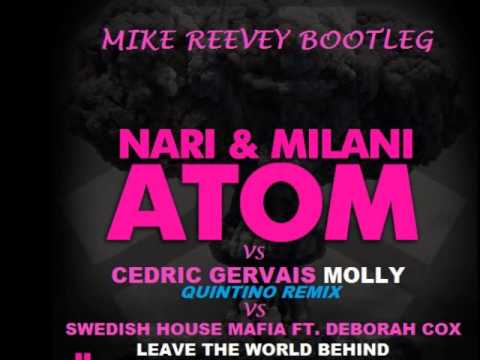 Nari & Milani Vs Cedric Gervais Vs Deborah Cox - Leave Molly Atom Behind (Mike Reevey Bootleg)