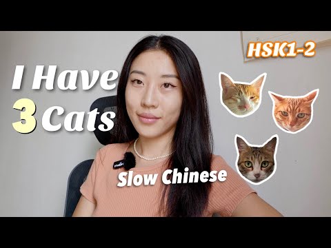 我有三只猫 HSK1-2, Slow Chinese, Chinese Listening Practice, Beginner Chinese