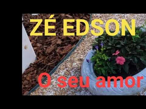 O Seu Amor Para Mim - Zé Edson