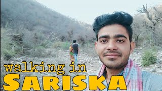 preview picture of video 'walking in sariska | treking at sariska'