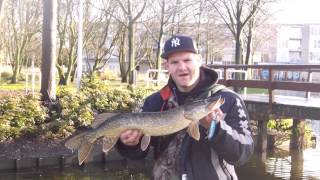 PeppiCrewCompanyTV struinen op snoek
