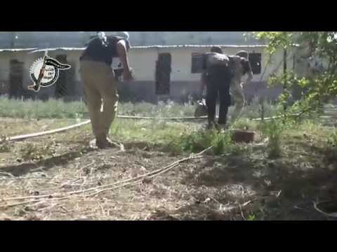 تسلل عناصر من كتائب نور الغوطة لزراعة عبوات ناسفة قرب الأبنية التي تتمركز بها قوات النظام في بلدة المليحة في ريف دمشق قبل بدء عملية اقتحامها