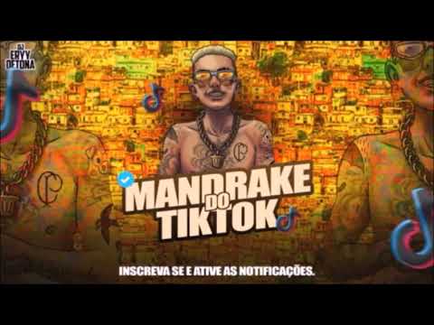 VAI MALVADIN -ME CHAMA DE AMOR - TIKTOK STATUS - DUDU ROSA & MC TREYCE