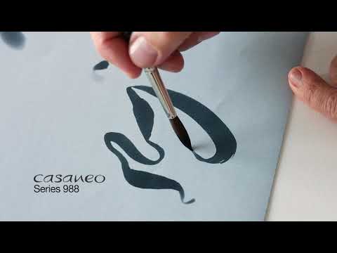 Video 1