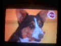 Fragment Zapowiedzi I świąteczny Blok Reklamowy Z 12 Grudnia 2012r