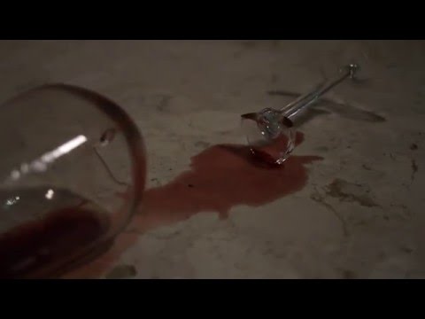 We Were Heading North - Leitmotiv 01 (Music Video)