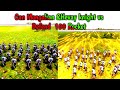 Can Mongolian Hevay Knight Vs Defend 100 Rocket