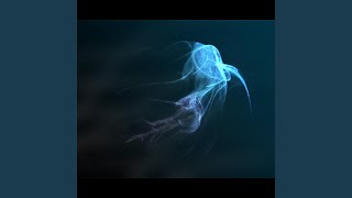 Robotron 2000 Part 2