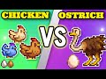The Ultimate Showdown, Chicken Vs Ostrich. Who will be the superior bird In Stardew Valley.