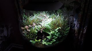 BiOrb Air 3 Month Update