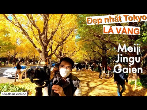 #japanvlog #explorejapan #4k