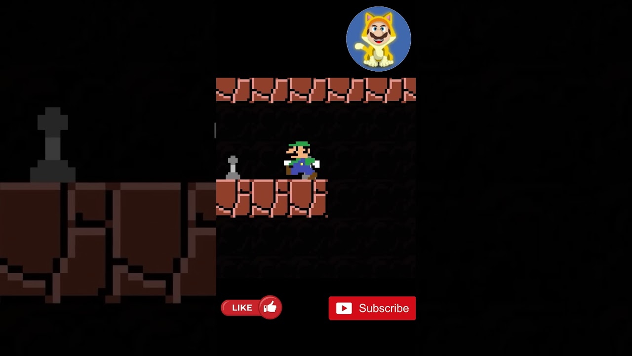 Luigi Teams Up with Tiny Luigi to Beat the Maze