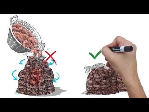 Best Practices for Brine Freezing Shrimp