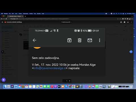Morske Alge Izkušnje -je zadovoljna stranka? Kaj je tretirala?