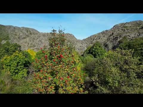 Senda de la Cueva de San Martín y Cañón del Tera (Parque Natural Lago de Sanabria y Sierras de Segundera y Porto (Zamora)