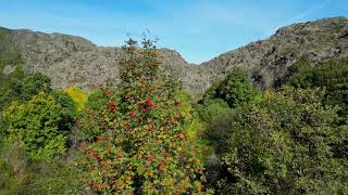 Senda de la Cueva de San Martín y Cañón del Tera (Parque Natural Lago de Sanabria y Sierras de Segundera y Porto (Zamora)