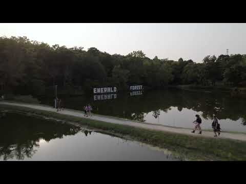 Dancefestopia Venue [Emerald Forest]