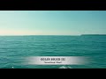 Colie Brice - "Something I Need"