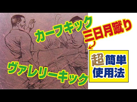 カーフキック 三日月蹴り ヴァレリーキック 超簡単使用法　　野沢靖尚VS千葉勇人BUDO-STATIONスパー