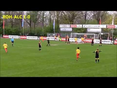 Samenvatting Rohda Raalte - Alcides