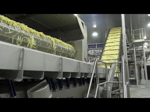 Energy Saving Success Story: McCain Foods