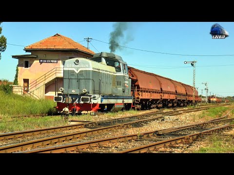 LDH1250 80-0224-2 în Acțiune/Hard Working in Gara Valea lui Mihai Station - 08 September 2020