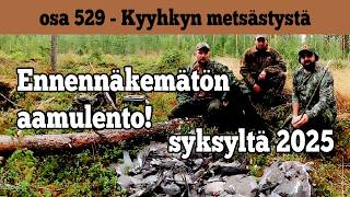 Download lagu Osa 529 - Kyyhkyjahtia odotellessa - ennennäkemätön kyyhkyjahti - 2026/2027 mp3