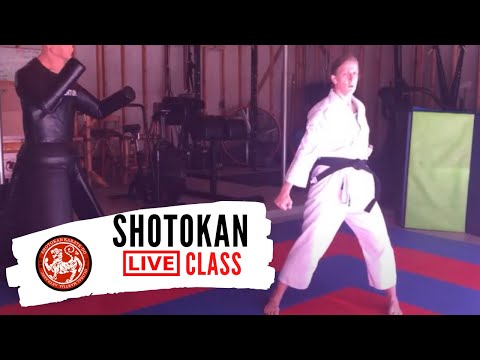 Shotokan Karate Kihon Review LIVE Class thumbnail
