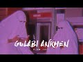 GULABI ANKHEN LOFI Slowed Reverb Sanam 2 AM LOFI TEXT AUDIO