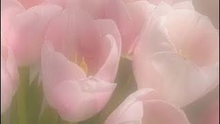 bratz forever diamondz - Hang On -instrumental- ( 𝙎𝙥𝙚𝙙 𝙪𝙥 / 𝙍𝙚𝙫𝙚𝙧𝙗 )