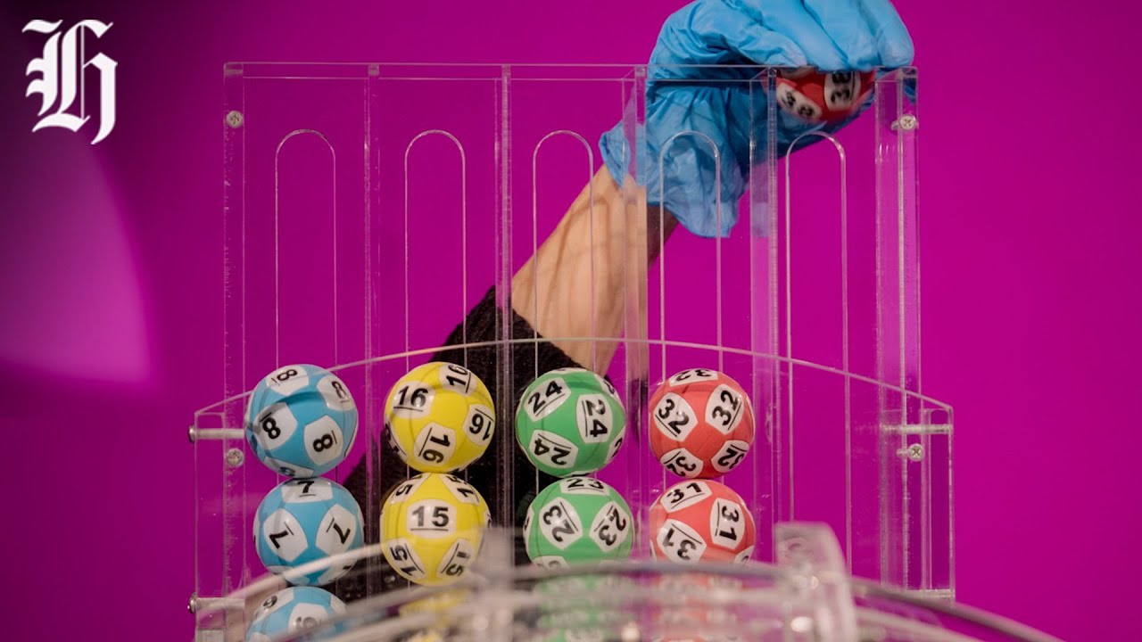 Lotto Fever: What are the real odds of winning $55 Million? | Herald NOW