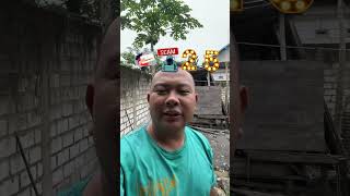 Download lagu Try the 2025 prediction effect mp3