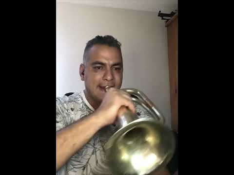 Marcha “COPA DE ORO” corneta a velocidad normal.