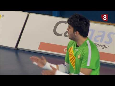 Resumen Catgas Santa Coloma  - Naturpellet