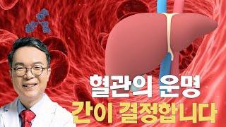 혈관의 운명은 간이 결정한다. 혈관 독소 지우는 간 해독력 키우는 법