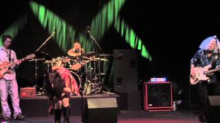 I Pity The Fool - The Julie Duke Band