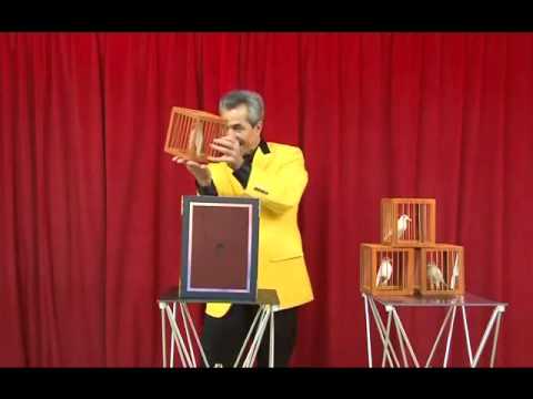 8 Appearing Cages From Empty Frame by Tora Magic