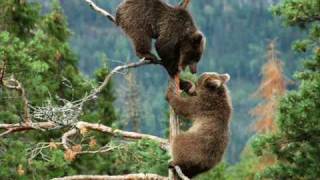 The Corrs - Rebel Heart