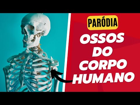 PARÓDIA: OSSOS DO CORPO HUMANO - PUFFITEI | PARÓDIAS EDUCATIVAS